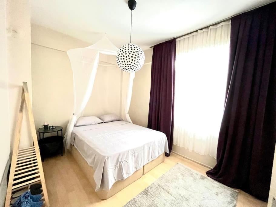 Cozy House Daire